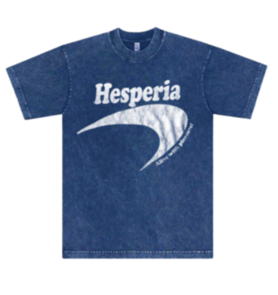 Hesperia Port Tee In Washed Blue