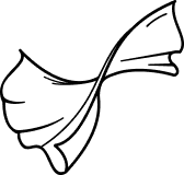 LIGHTWEIGHT CLOTH