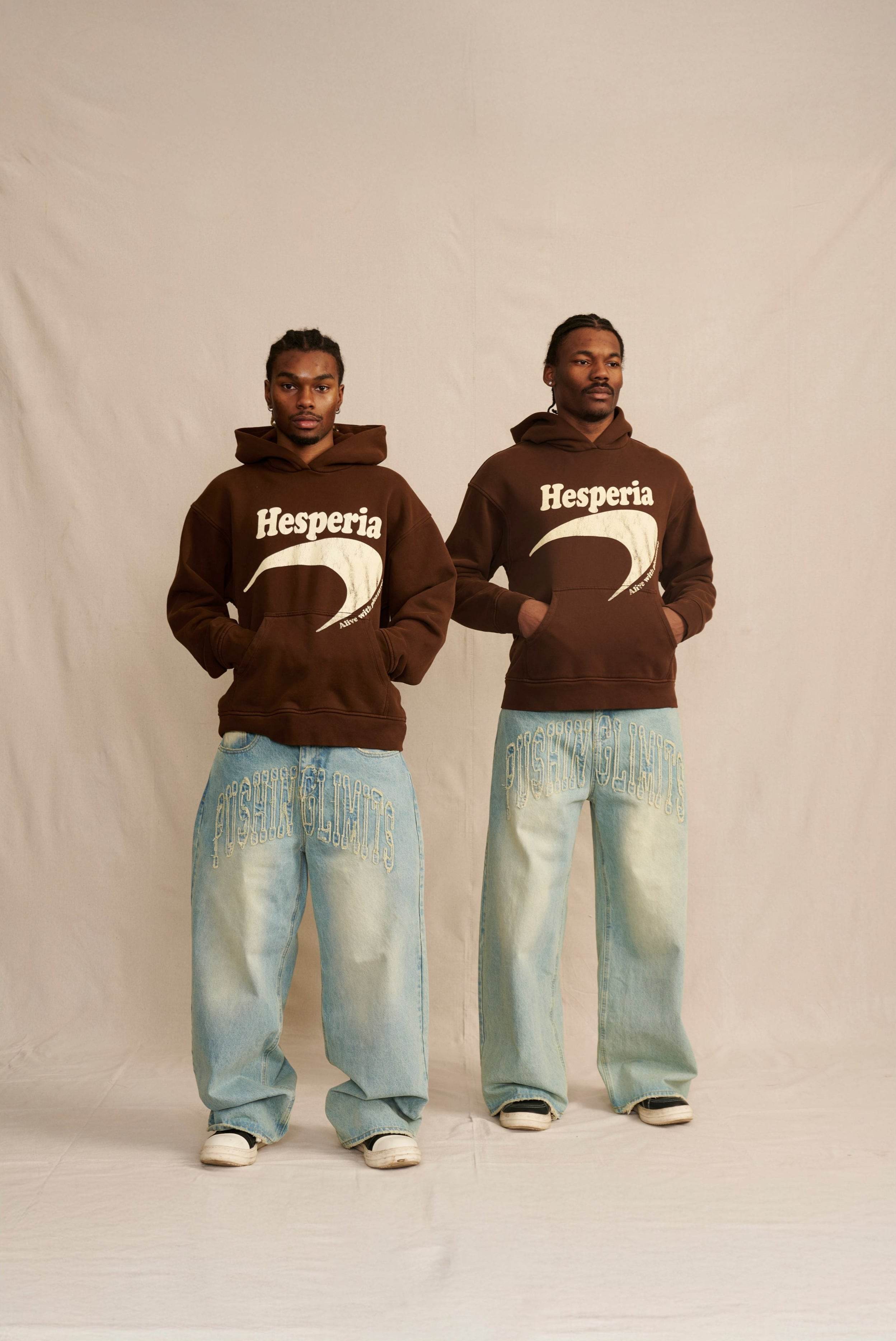 Hesperia Newport Hoodie In Brown - Hesperia