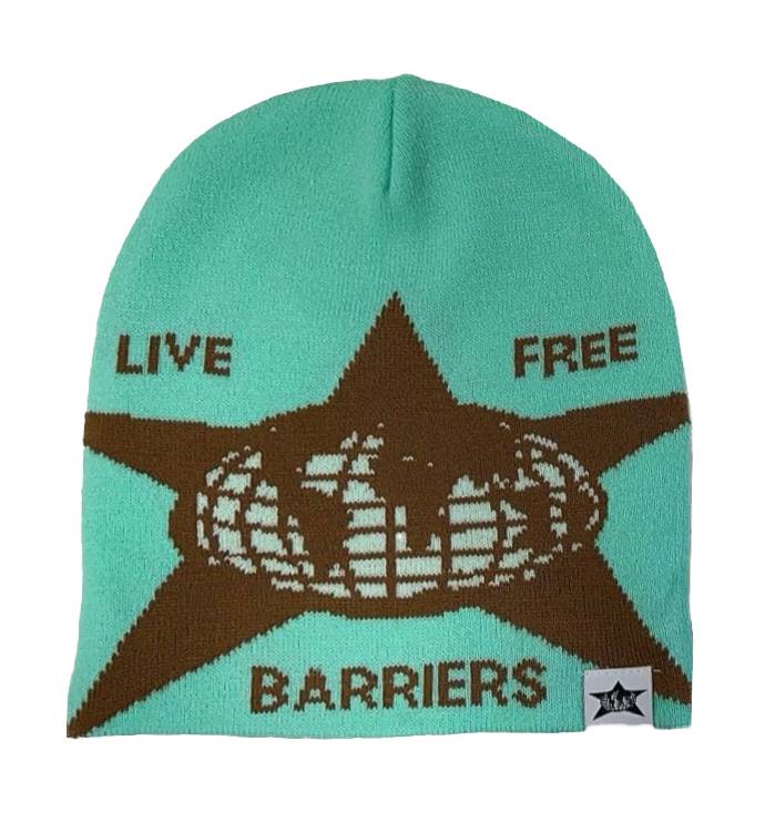 Barriers Beanie in Mint