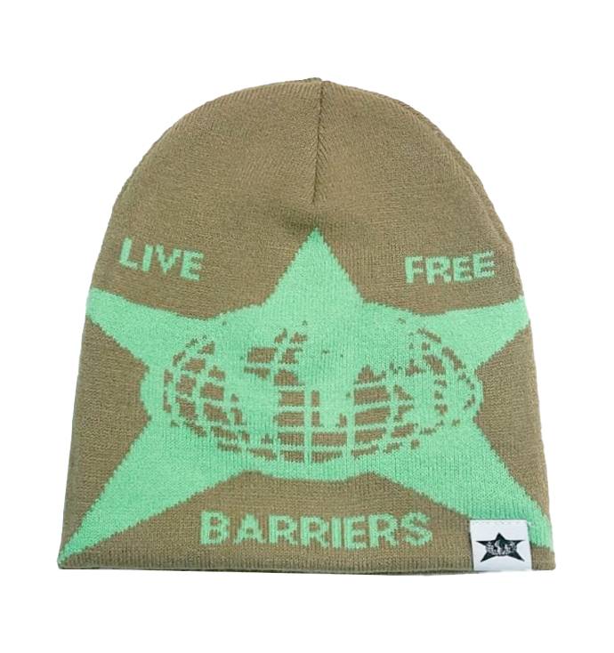 Barriers Beanie in Brown